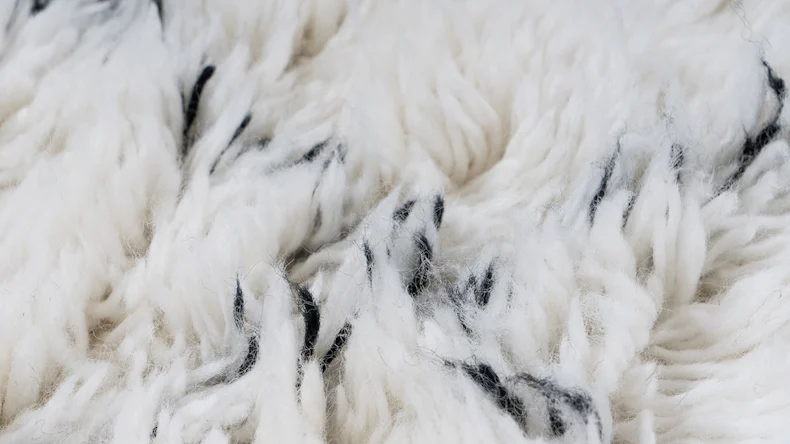 planeo Teppich - Casablanca 140 Natur / Elfenbein