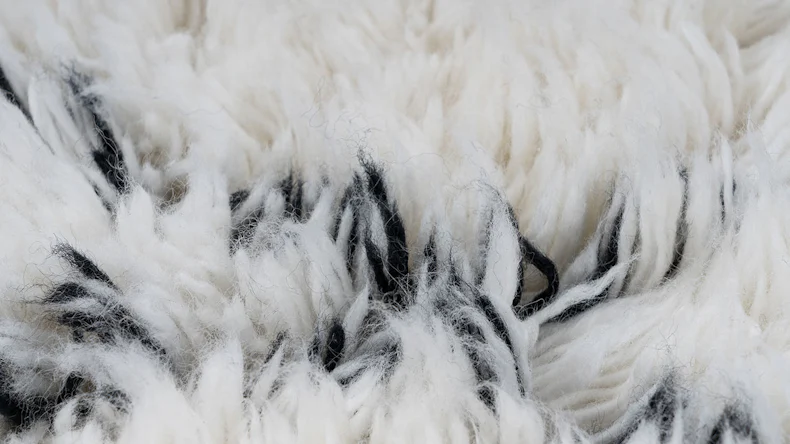 planeo Teppich - Casablanca 120 Natur / Elfenbein 160 x 230 cm