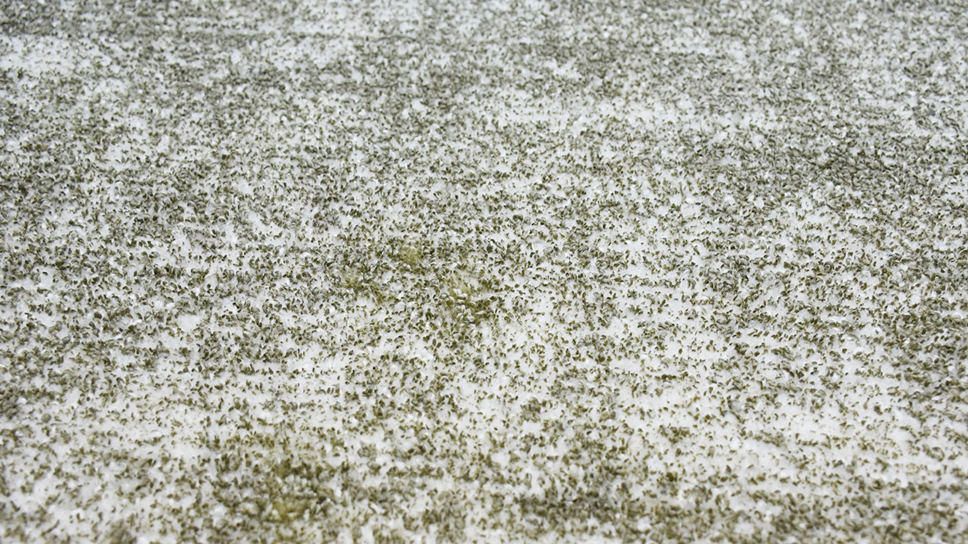 planeo carpet - Etna 110 silver / olive 160 x 230 cm