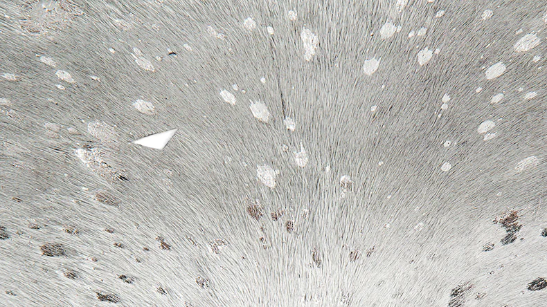 planeo Teppich - Fly 110 Grau / Silber