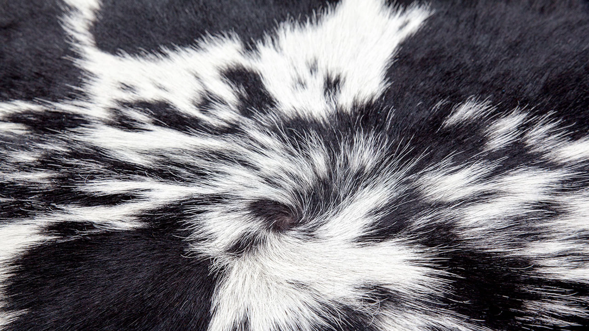 tapis planeo - Glam 210 noir / blanc 1,35m² - 1,65m² - Glam 210