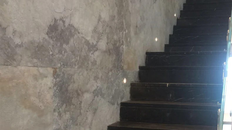 planeo EVOLITH Slate&Stone - Naturstein Wandverkleidung Bianco Pure 1220 x 610 mm