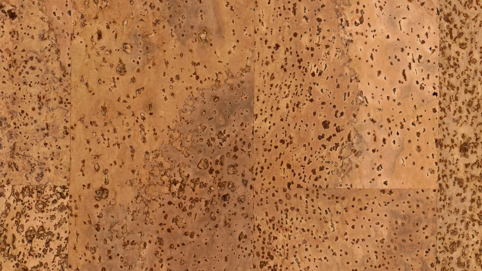 Schöner Wohnen click cork flooring - Mellum ship's floor natural