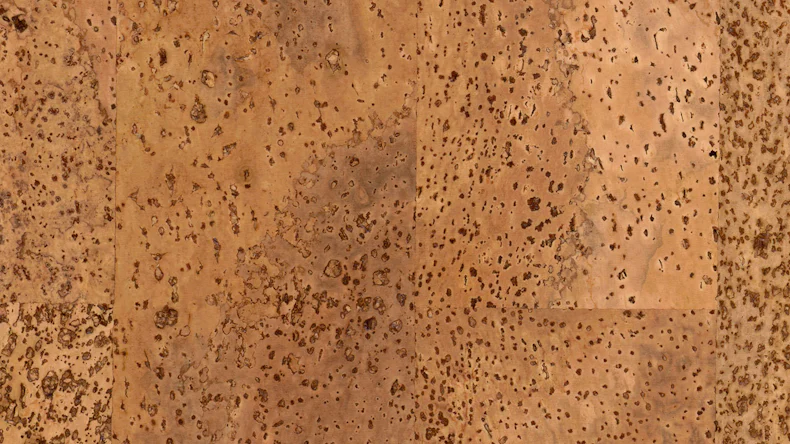 Schöner Wohnen pavimento in sughero a cliccare - Mellum pavimento della nave naturale