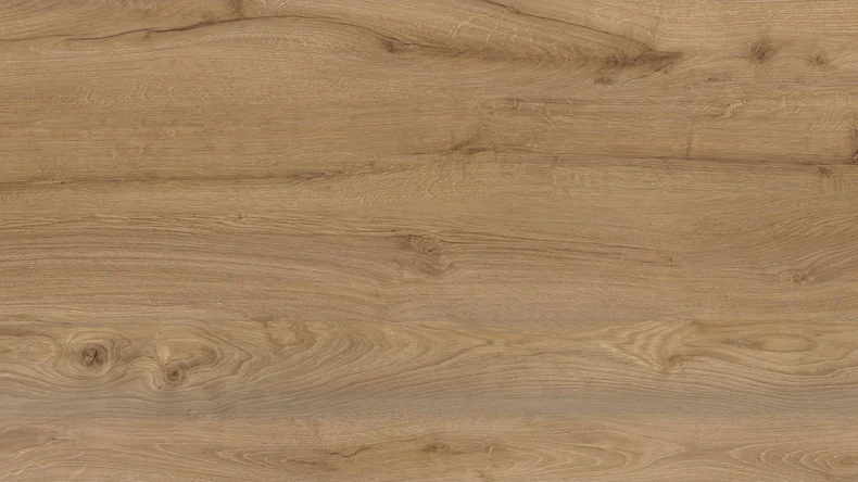 planeo Klebevinyl - Objekt Eichenstamm Cheruskereiche (PLDD2570-CHE)