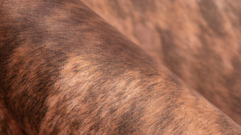 tapis planeo - Western 625 marron clair