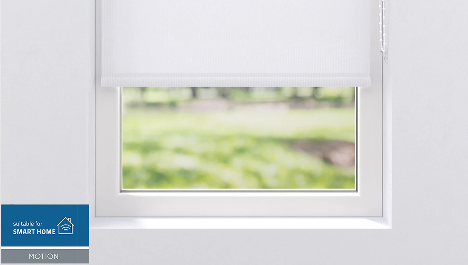 planeo roller blind 25mm TL Screen - white 100 x 190 cm