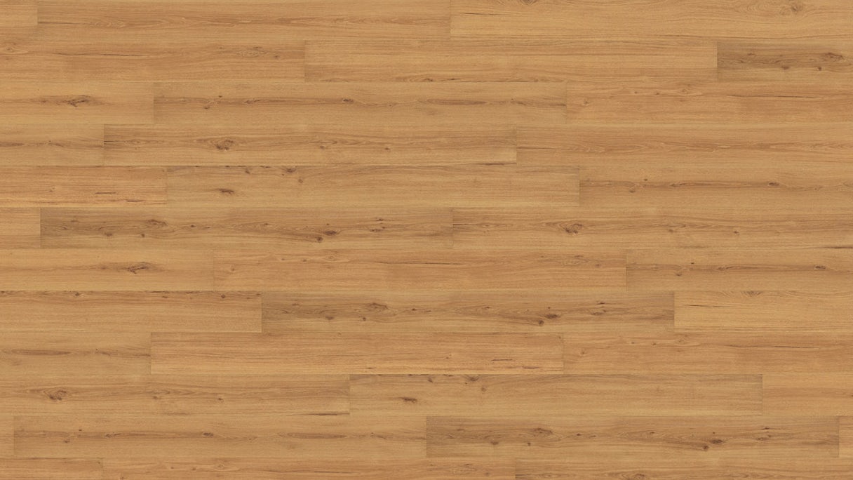 Wicanders Korkboden zum Klicken - Wood Essence Golden Prime Oak 11,5mm Kork - NPC versiegelt (D8F7001)