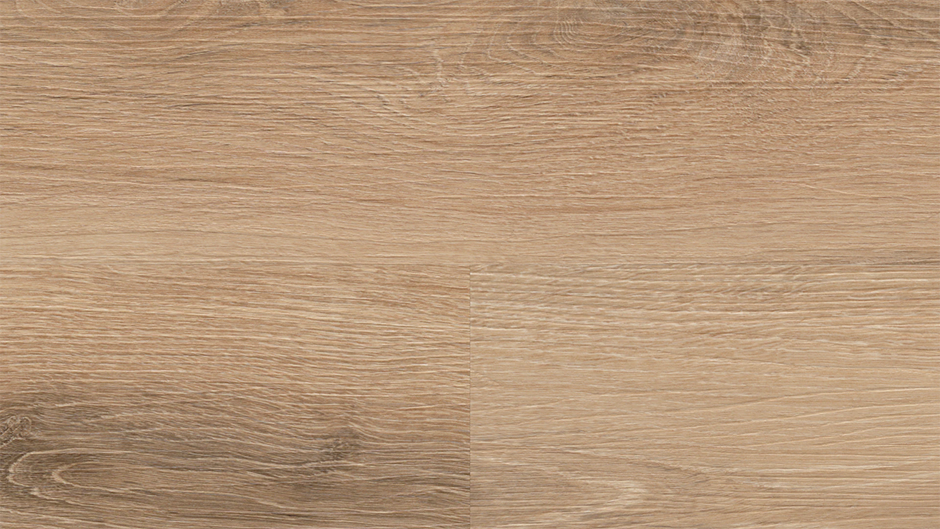 Wineo vinyle à coller - 400 wood L Vivid Oak Nature | Grain synchronisé (DB283WL)