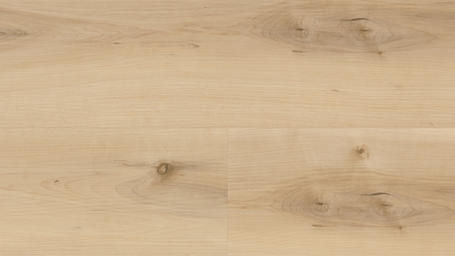 Wineo Klebevinyl - 400 wood XL Nordic Maple Cream | Synchronprägung (DB289WXL)