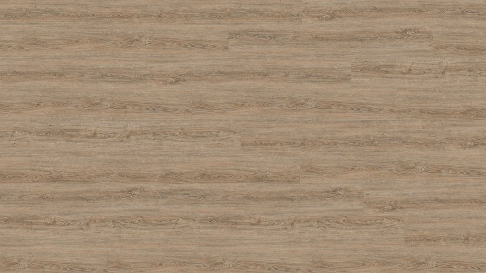 Wineo Vinyle à coller - 800 wood XL Clay Calm Oak (DB00062)