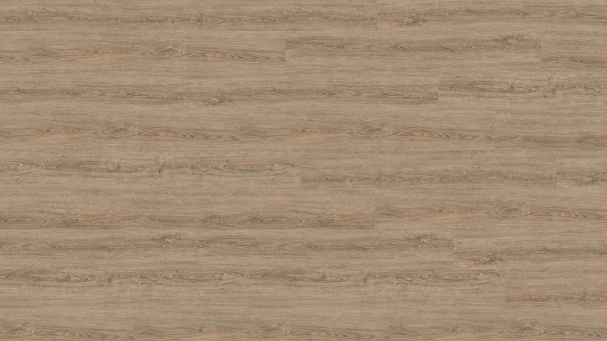 Wineo Vinyle à coller - 800 wood XL Clay Calm Oak (DB00062)