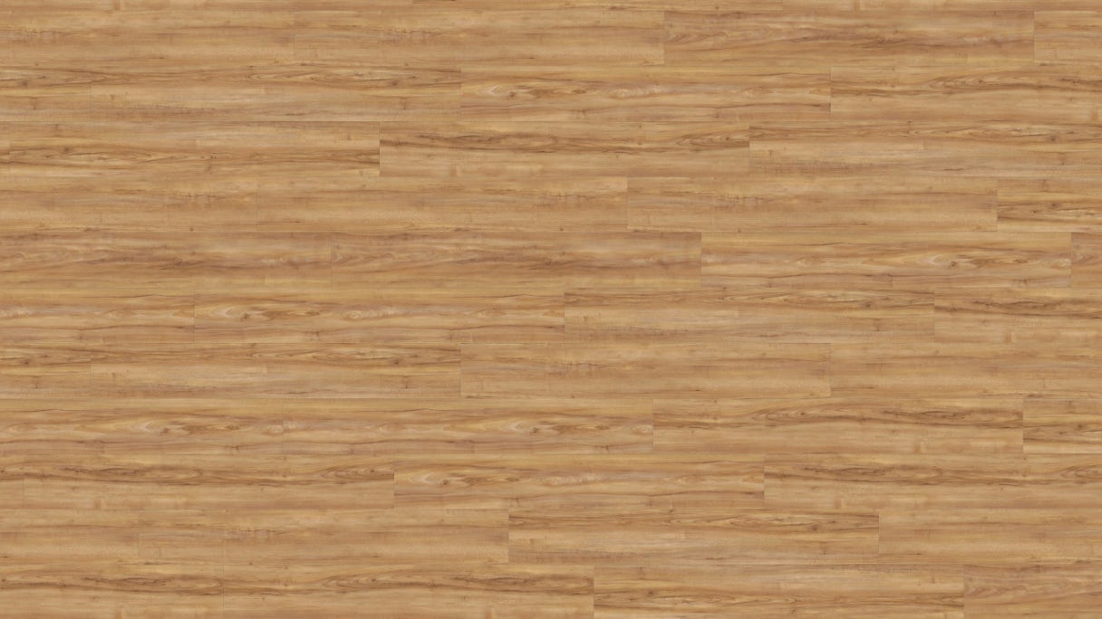 Wineo Klebevinyl - 800 wood Honey Warm Maple (DB00081)