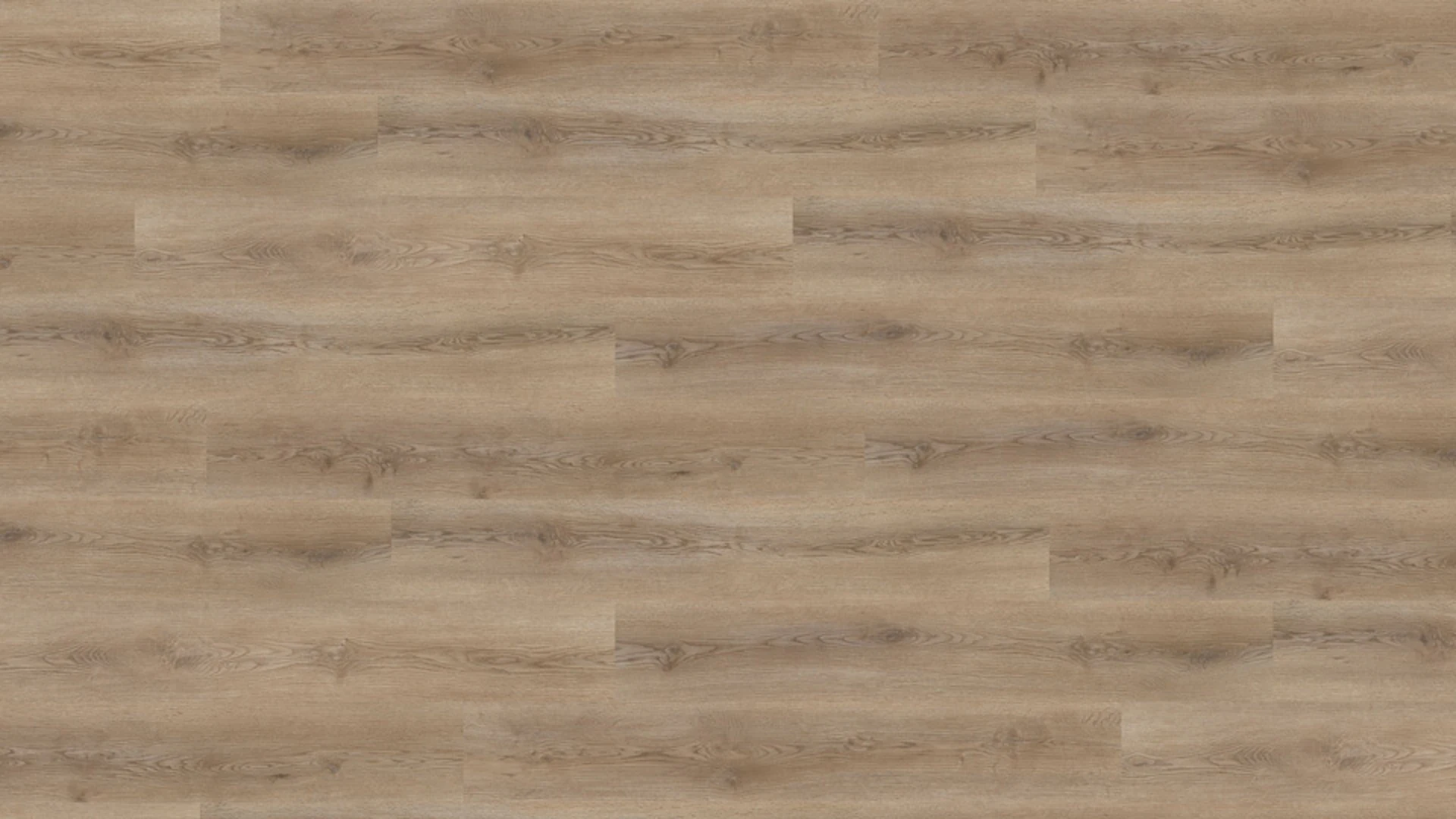 Wineo Vinile adesivo - 600 wood Smooth Place (DB185W6)