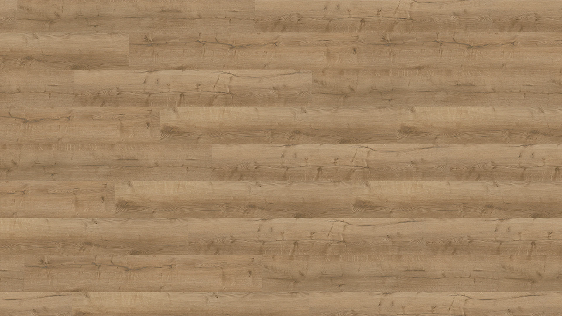 Wineo Sol PVC Rigide clipsable - 400 wood XL Comfort Oak Nature | isolation phonique intégrée (RLC291WXL)