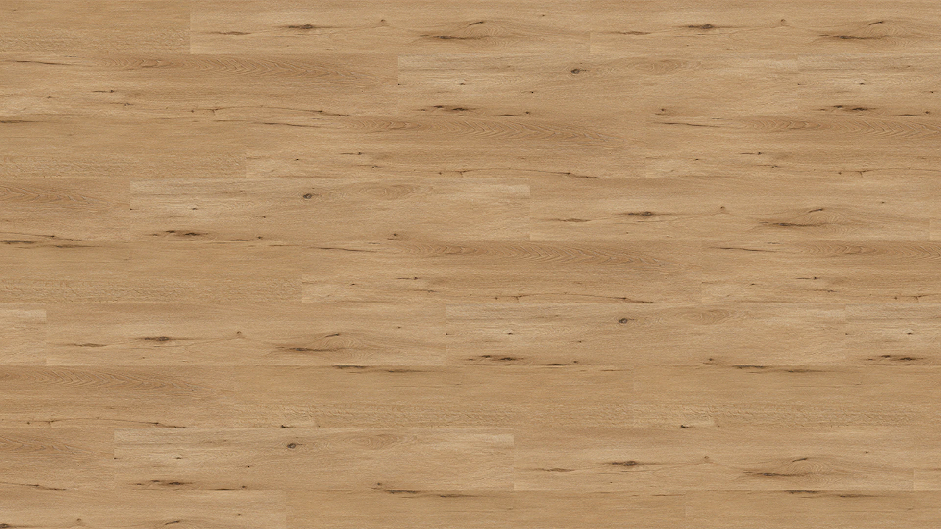 Wineo vinyle à coller - 400 wood XL Country Oak Nature | Grain synchronisé (DB294WXL)