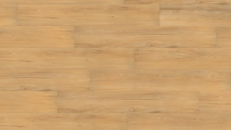 planeo Strong Multilayer - European Beech