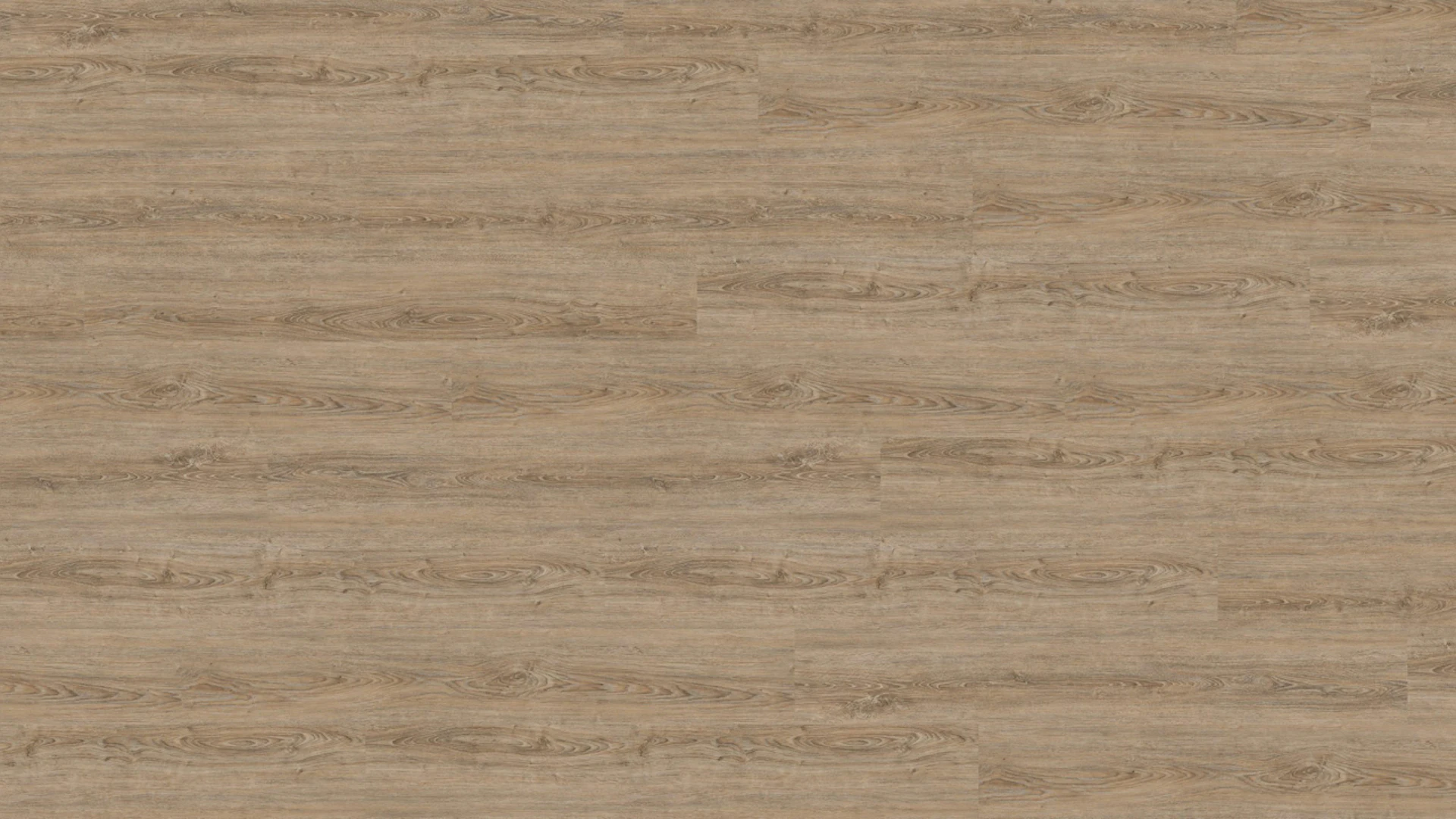 Wineo Sol PVC clipsable - 800 wood XL Clay Calm Oak (DLC00062)