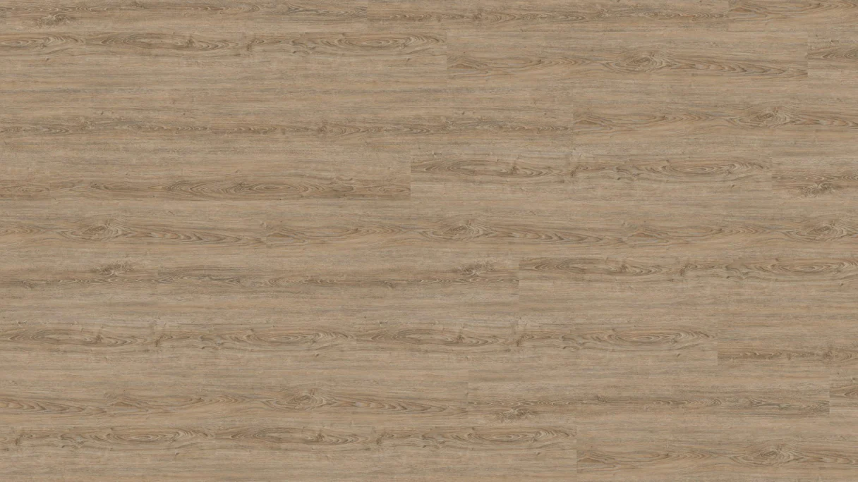 Wineo Vinile ad incastro - 800 wood XL Clay Calm Oak (DLC00062)