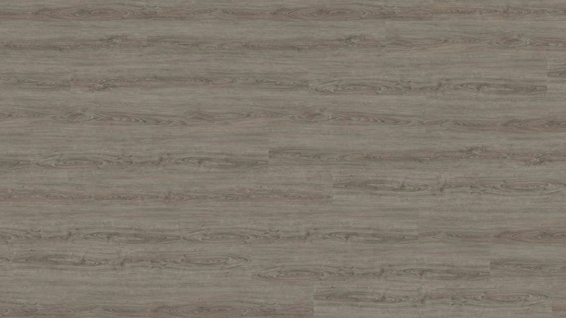 Wineo Sol PVC clipsable - 800 wood XL Ponza Smoky Oak (DLC00067)