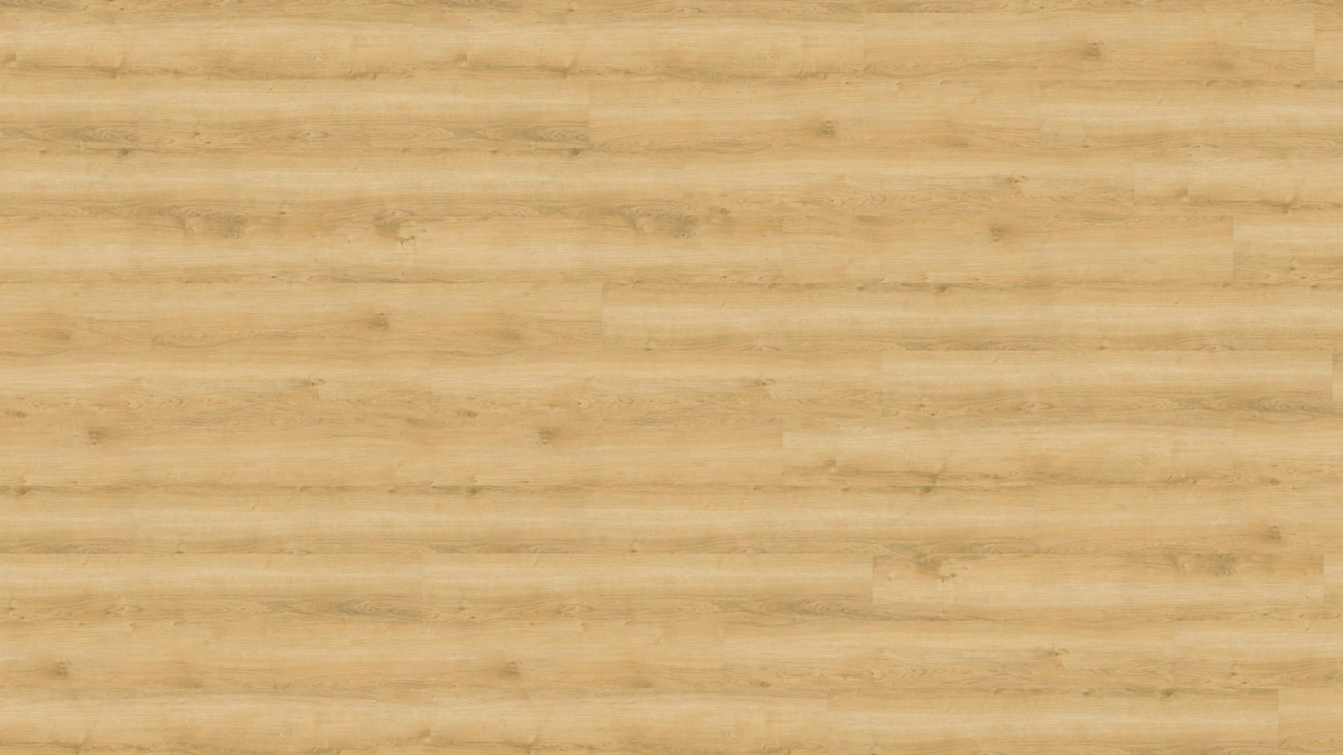 Wineo Sol PVC clipsable - 800 wood Wheat Golden Oak (DLC00080)