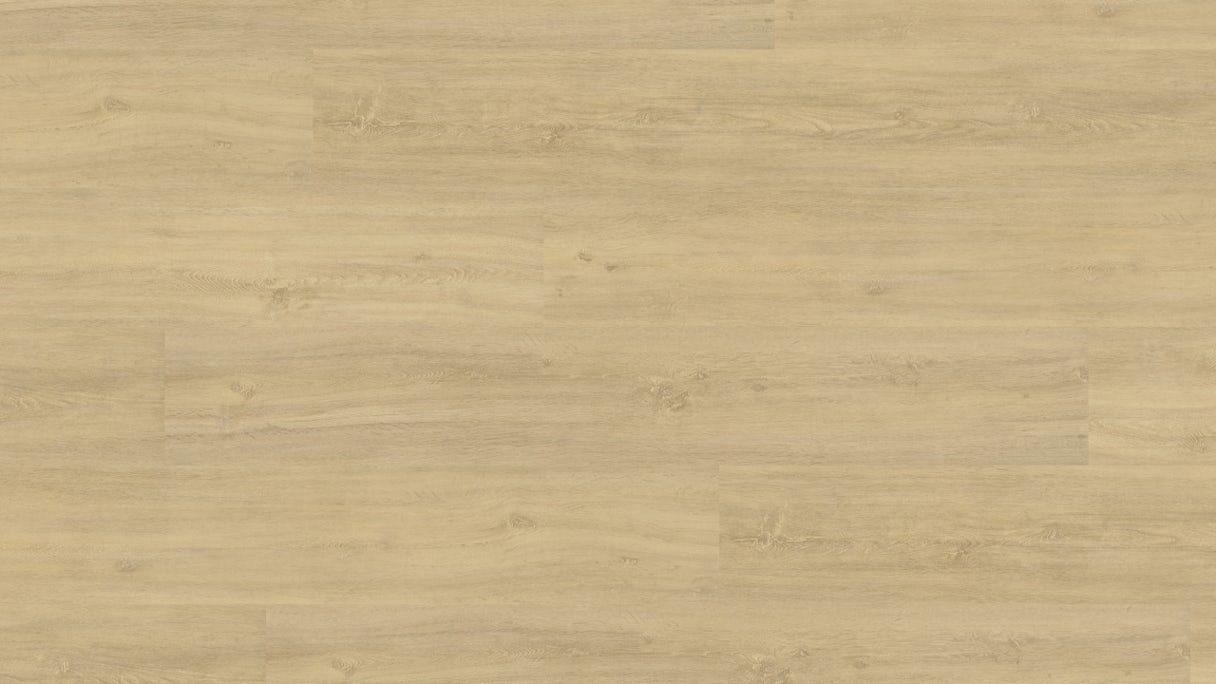 Wineo Vinile ad incastro - 400 wood XL Kindness Oak Pure (DLC00125)