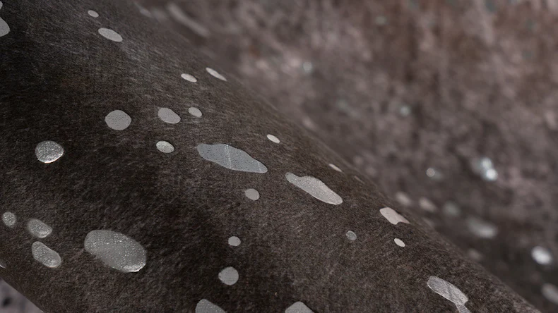 planeo Teppich - Western 525 Silber / Schwarz 130 x 170 cm