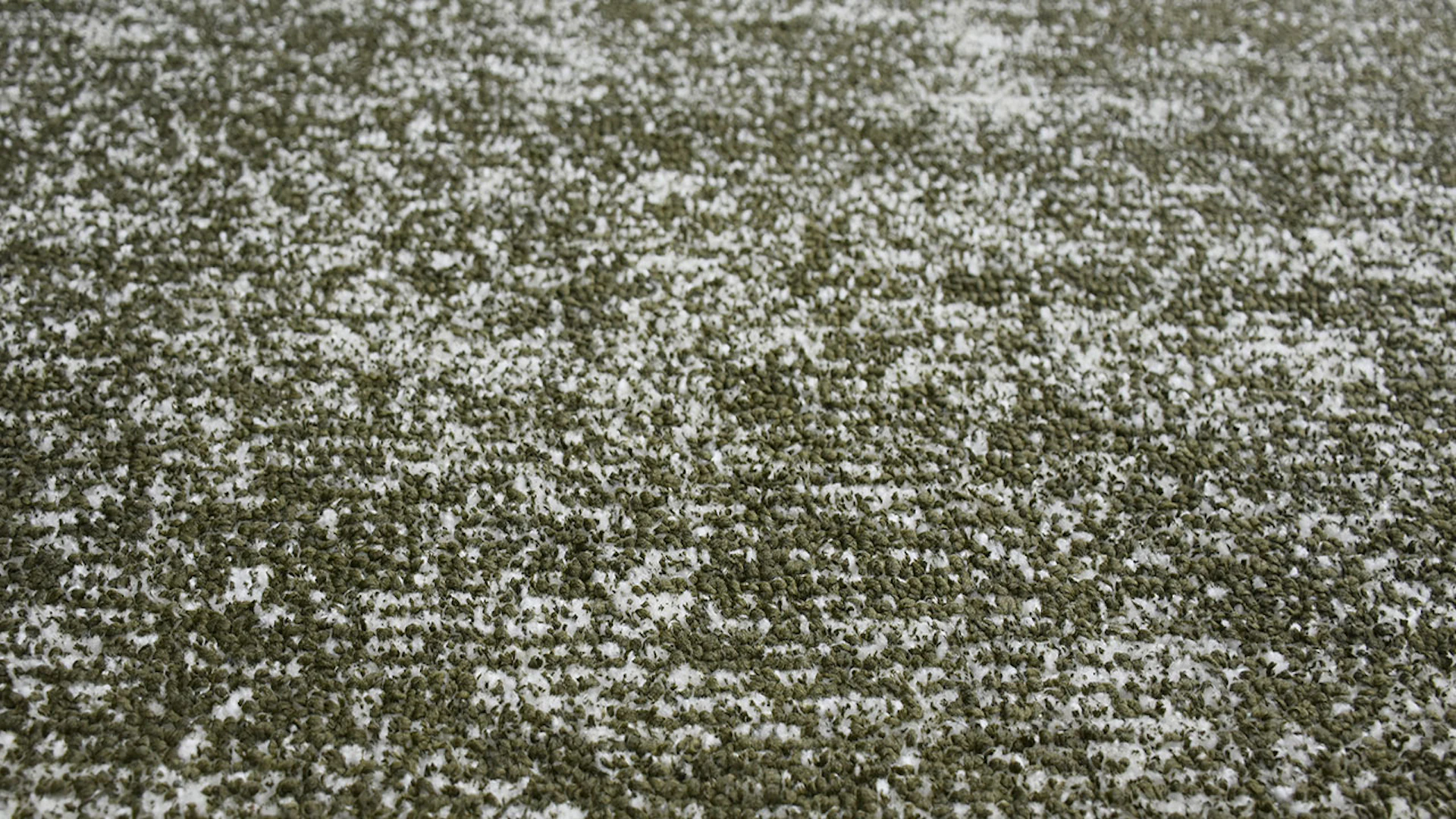 planeo carpet - Etna 110 olive green 200 x 290 cm