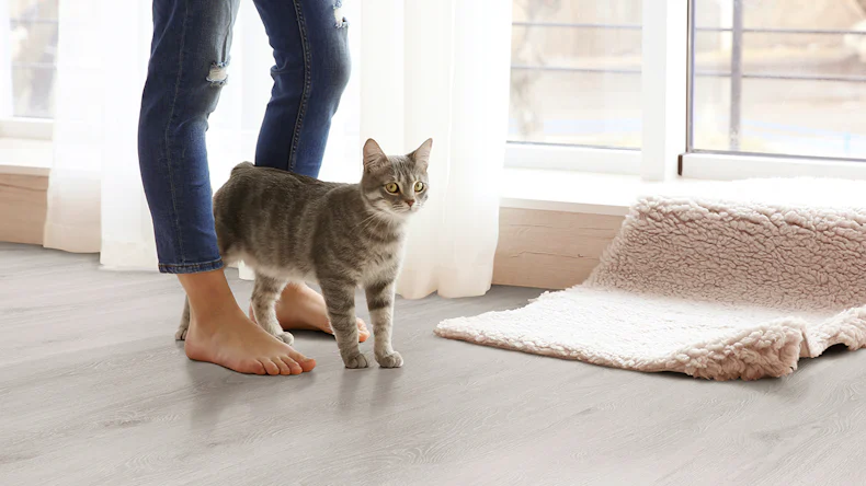 planeo Vinile rigido ad incastro - Rovere grigio chiaro | Isolamento acustico integrato (KPC-S-570)