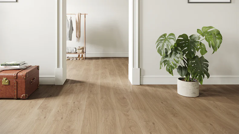 vinile adesivo planeo - quercia di Atene (P12106D)