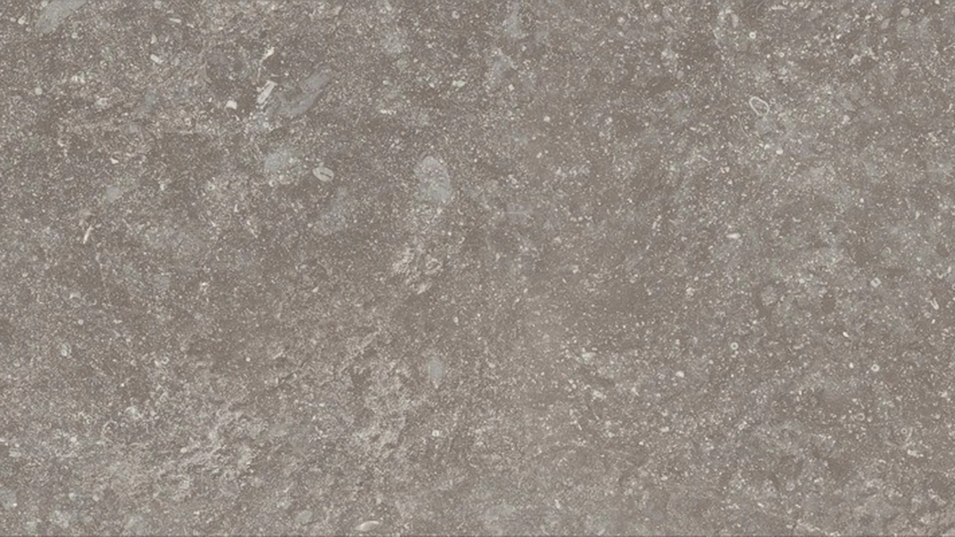 Pavimentazione in laminato Parador - Trendtime 5 Granito Grigio granito struttura in pietra mini bisello
