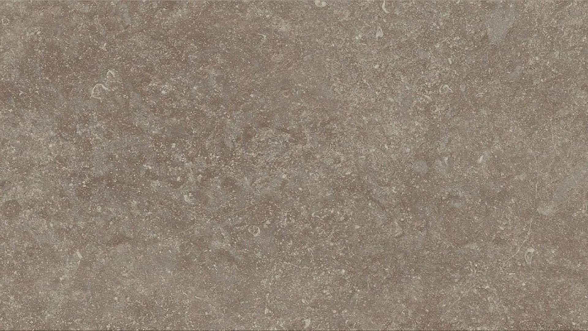 Parador Laminat - Trendtime 5 Granit perlgrau Steinstruktur Minifase (1743593)
