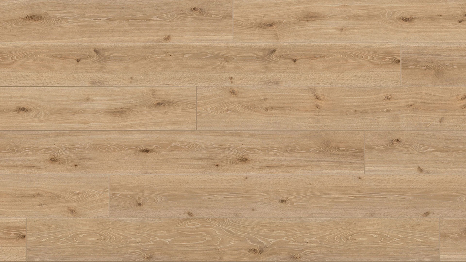 Pavimentazione in laminato Parador - Trendtime 6 - Rovere Castell Limed Full Plank 1-plank Texture spazzolato