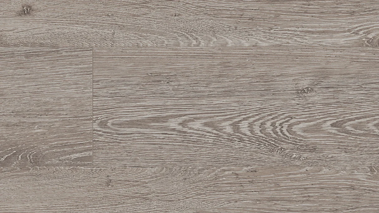 Parador laminate flooring - Basic 400 - oak light grey - satin-finish texture - mini 4V joint - 1-plank wideplank