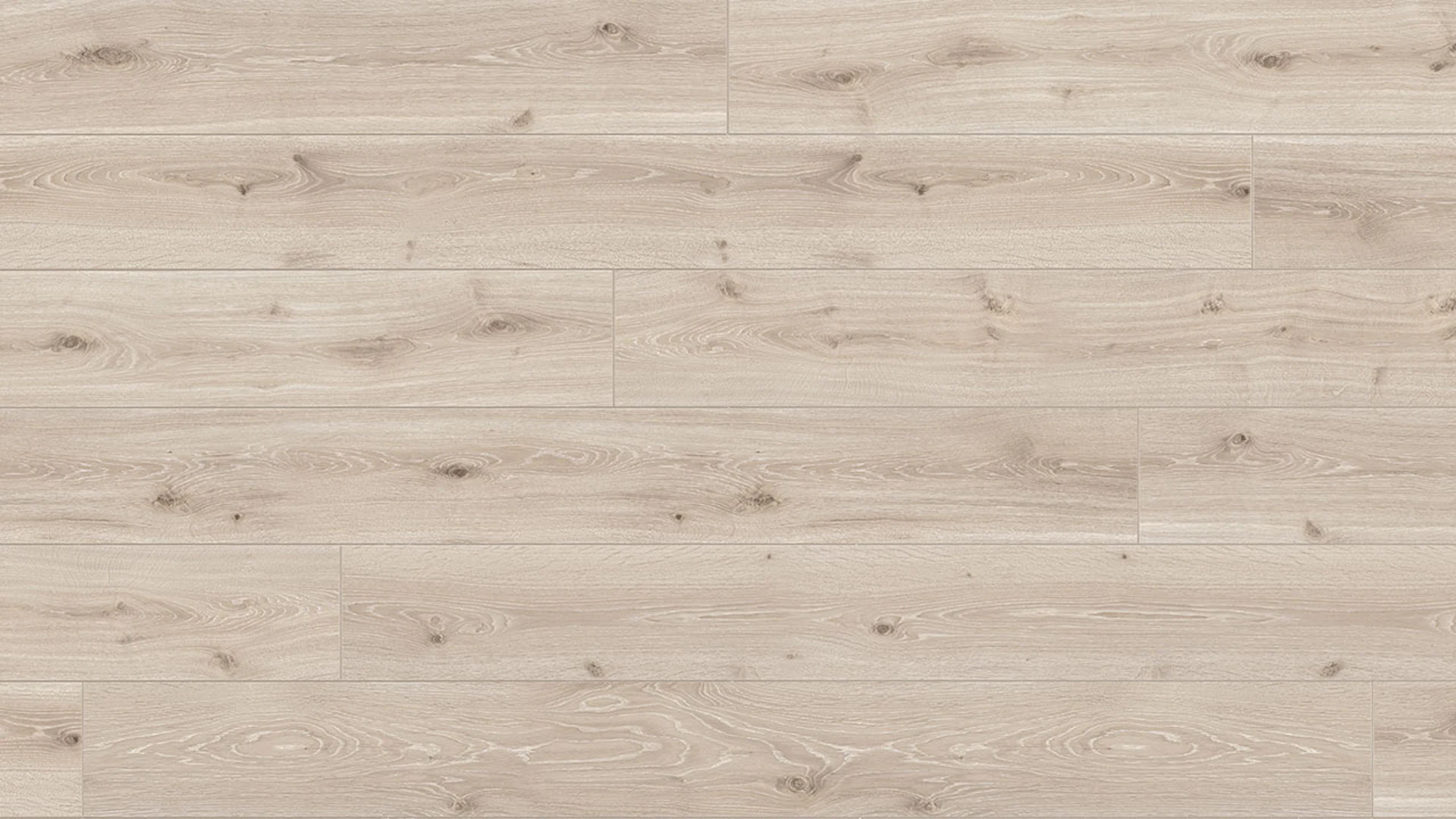 Parador laminate flooring - Trendtime 6 - oak castell whiteglazed - brushed texture - 4-V-joint - interlocking planks