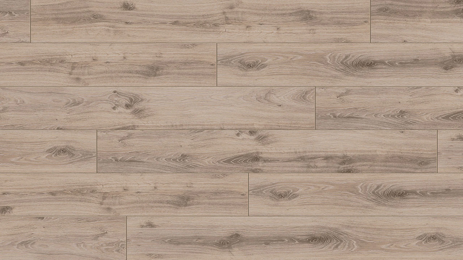 Parador laminate flooring Classic 1050 Oak Tradition grey-beige Elegant texture 4V-joint