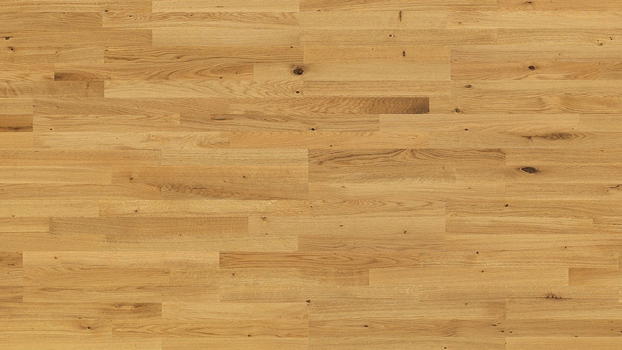Parador Parquet Flooring - Basic 11-5 Oak knotty (1518245)
