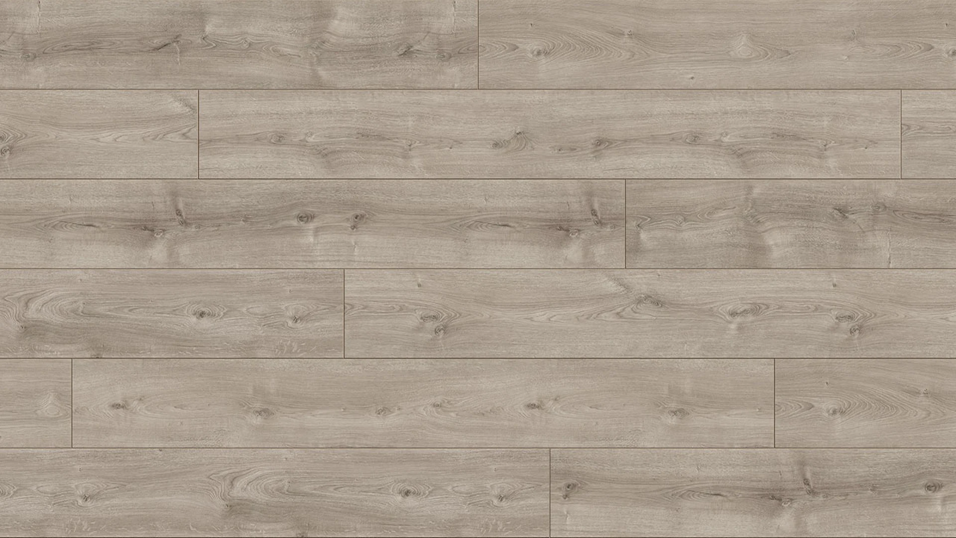 Parador laminate flooring Trendtime 6 Oak Valere pearl grey limed natural texture 4V-joint