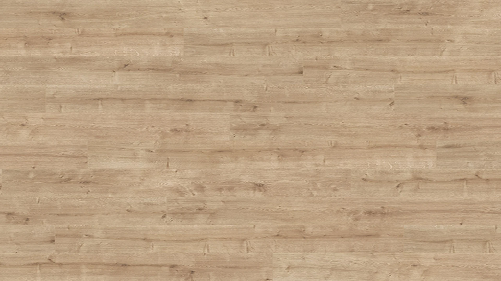Parador laminate flooring - Basic 600 wide plank oak sanded minifase
