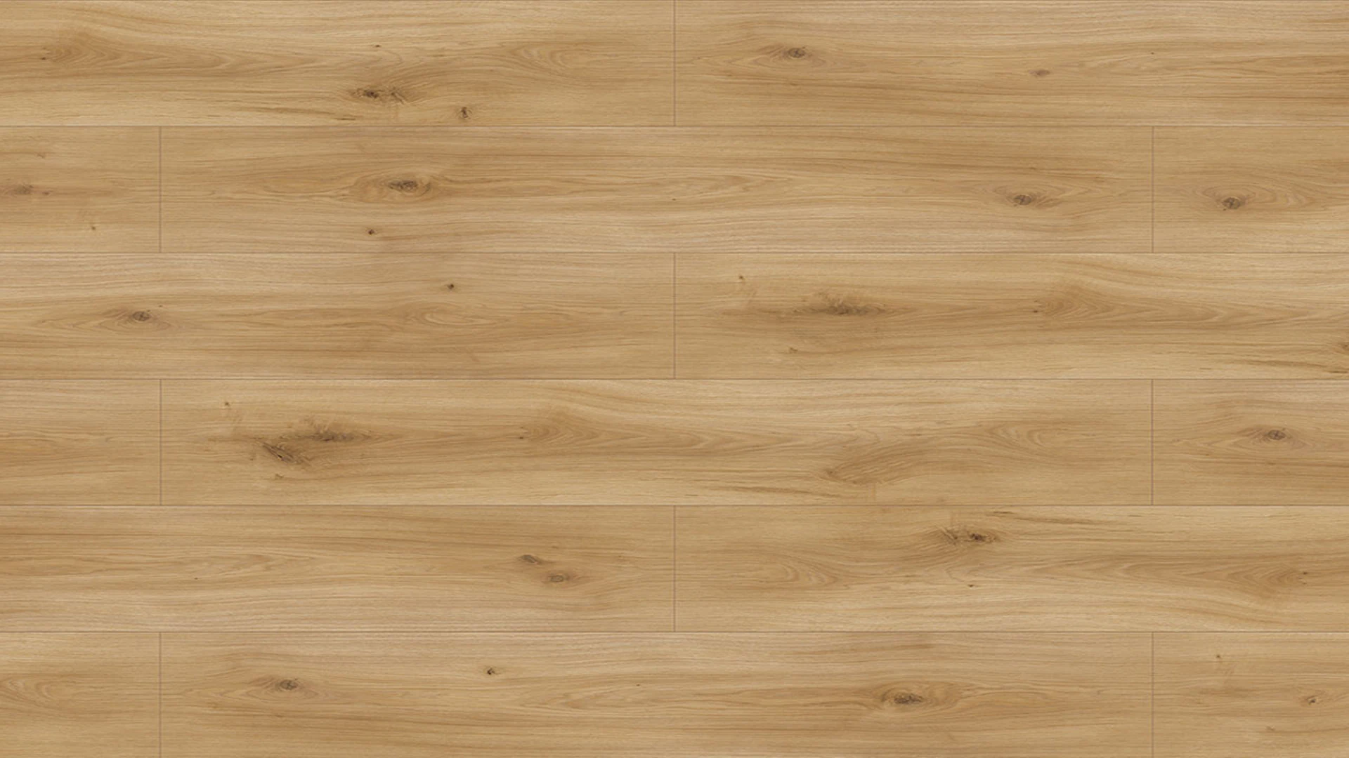 Parador Laminate Flooring - Basic 600 wide wideplank Oak Horizon Nature Mini bevel