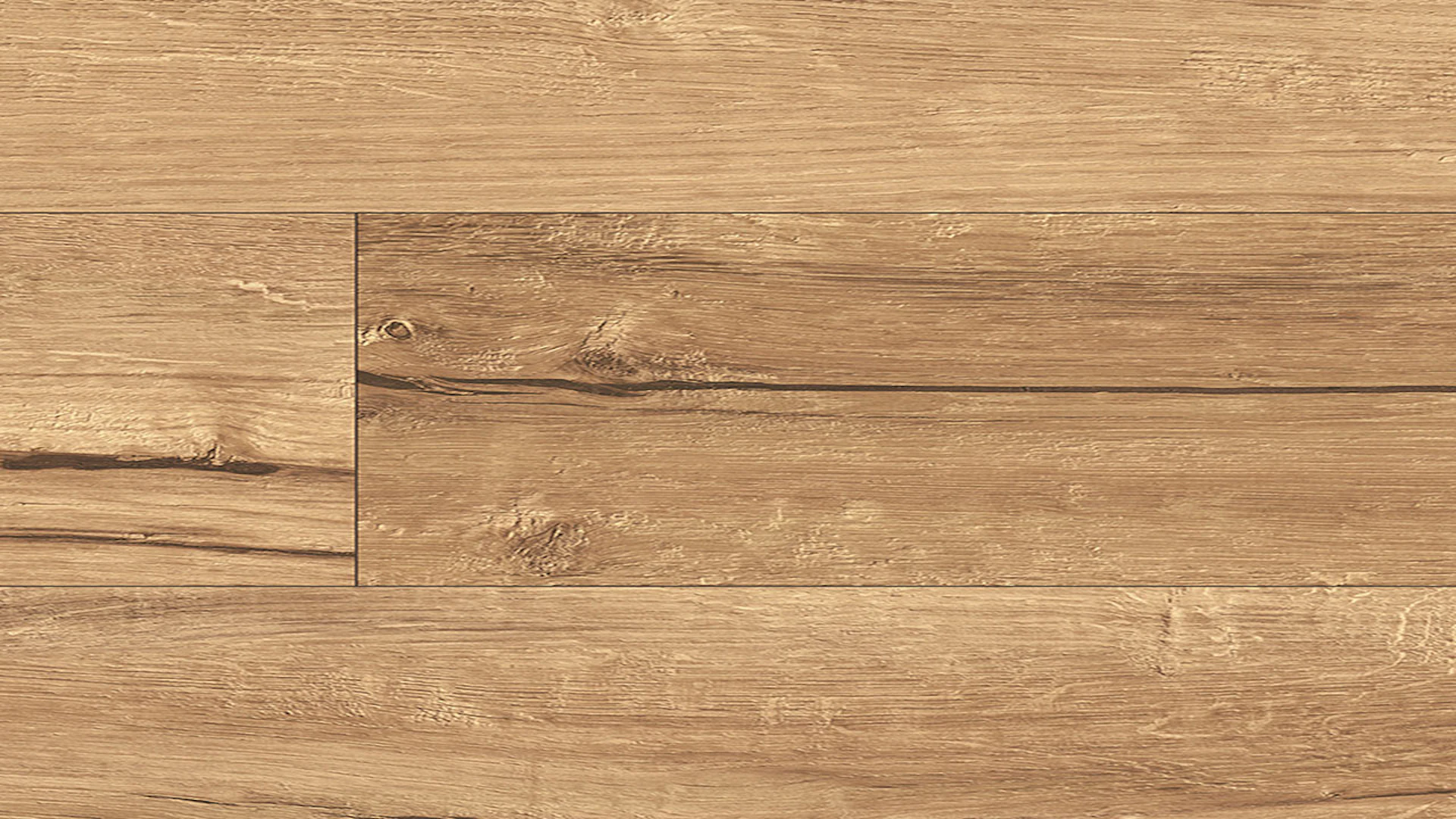 Parador laminate flooring - Trendtime 1 Oak Century Natur Minifase