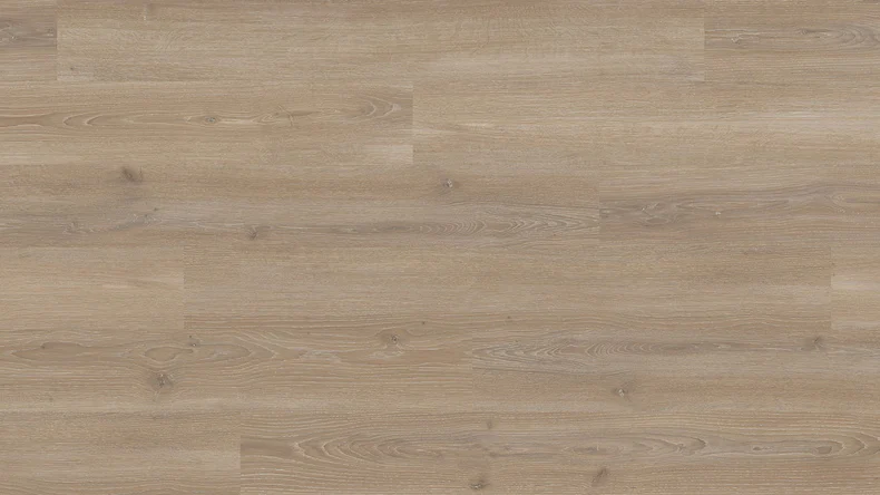 Laminato Parador - 1050 Rovere Skyline grigio perla grigio perla naturale opaco struttura