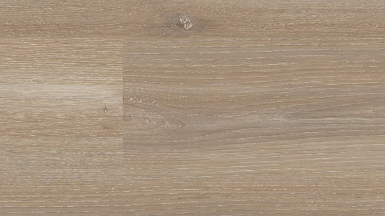 Laminato Parador - 1050 Rovere Skyline grigio perla grigio perla naturale opaco struttura