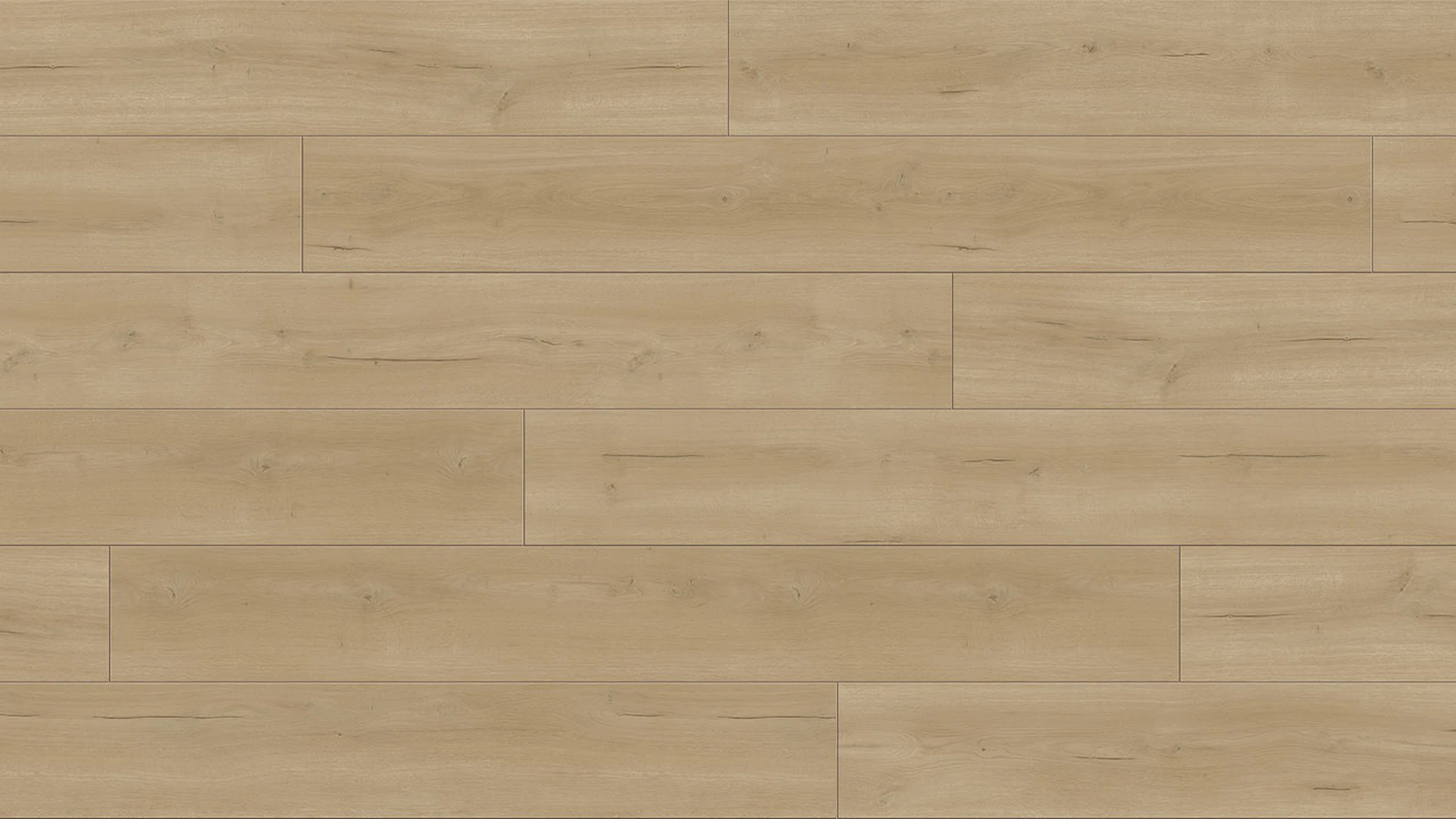 Parador Laminate Flooring - Trendtime 6 4V Chêne Loft Natur biseauté