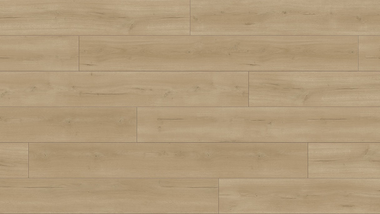 Parador laminate flooring - Trendtime 6 4V Oak Loft Natur bevelled