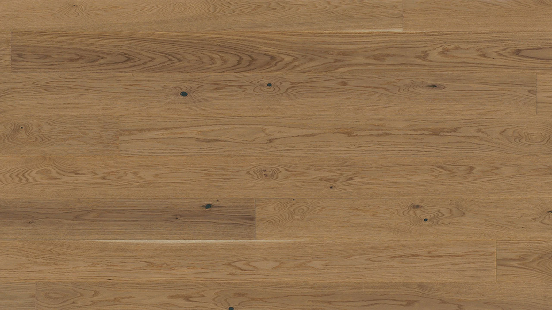 Parador Parquet Flooring - Trendtime 4 Living Oak nougat (1739938)