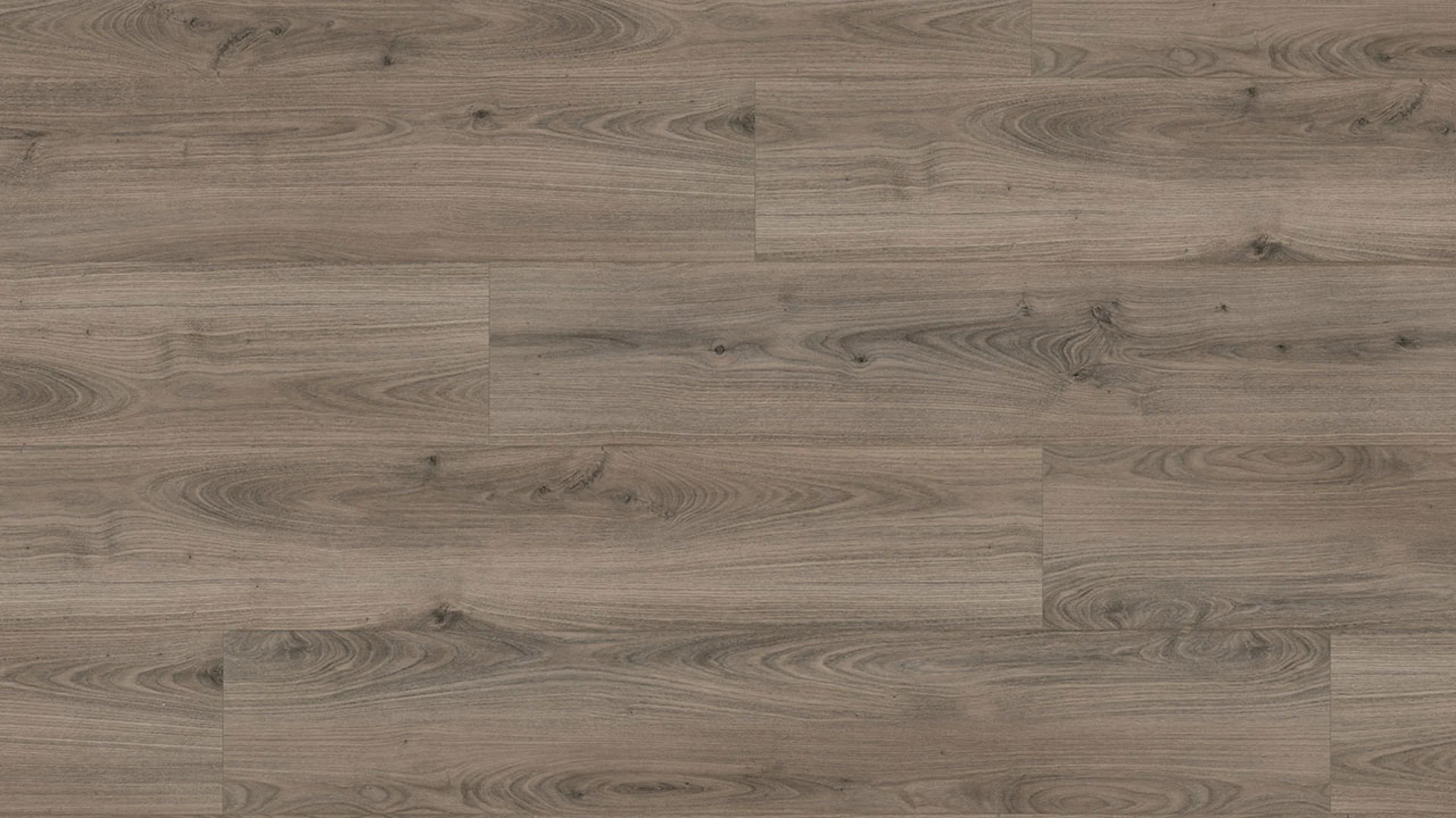 Wineo Organic Flooring - PURLINE 1500 wood XL Royal Chestnut Grey (PL084C)