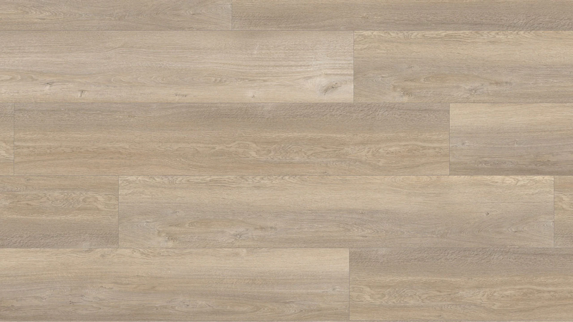 Wineo pavimento organico - PURLINE 1500 wood XL Queen's Oak Pearl (PL097C)