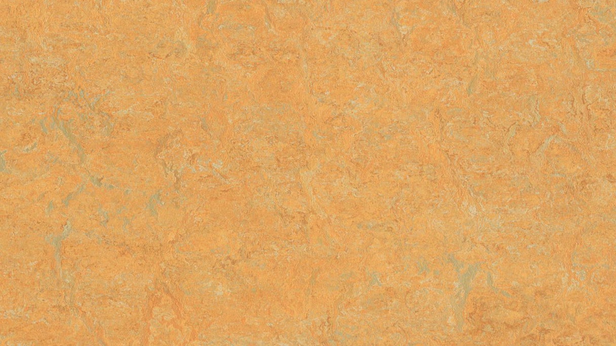 Forbo Linoleum Marmoleum Real - golden saffron 3847 2.0