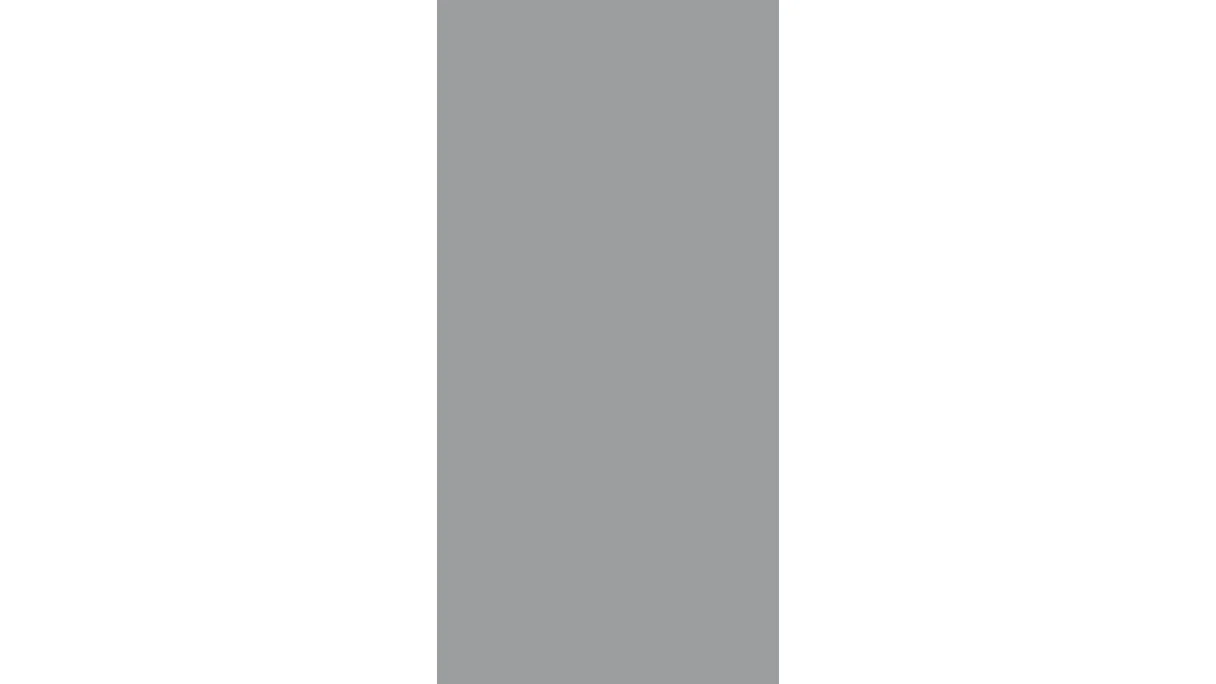 planeo Gardence Flair - Brise vue Verre Vertical Satiné 90 x 180 cm